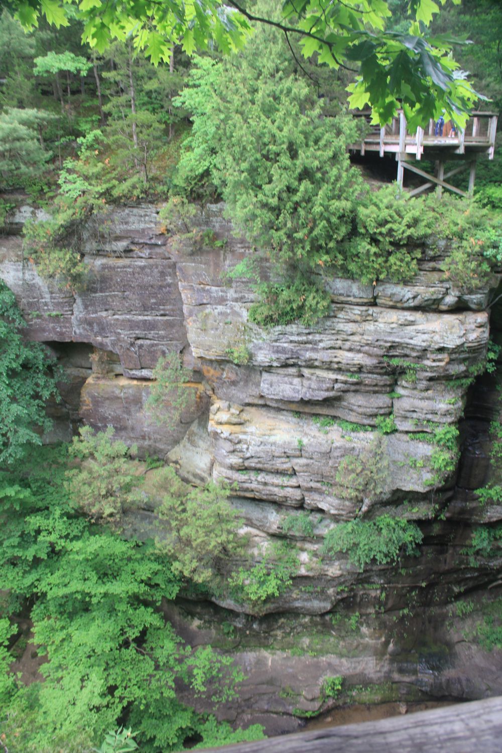 Starved Rock 